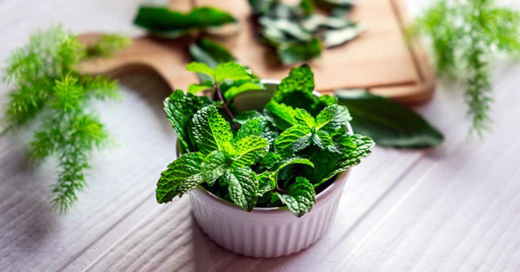 Siembra plantas como trampas para moscas