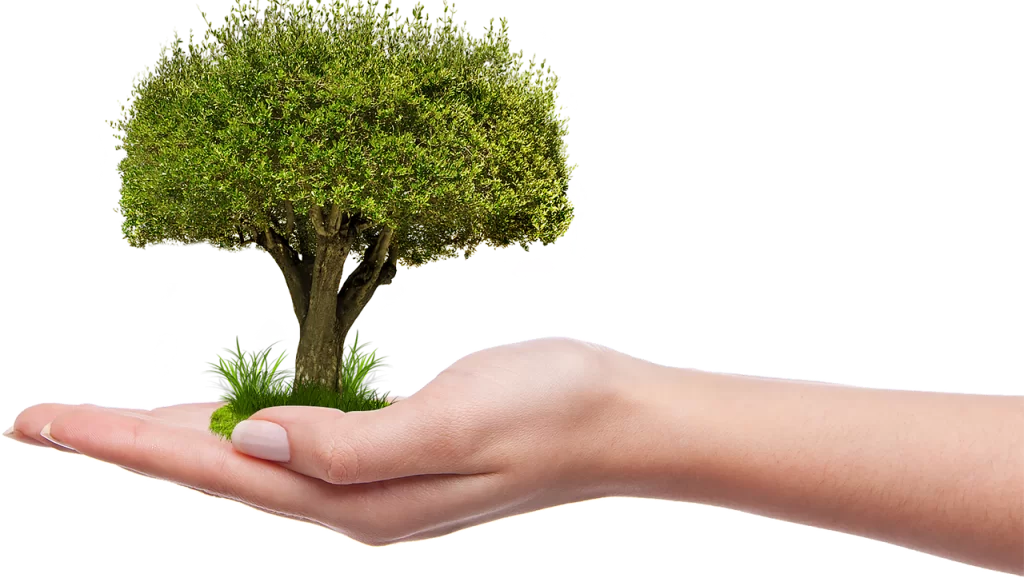 What is environmental awareness? Learn how to take care of the planet with us