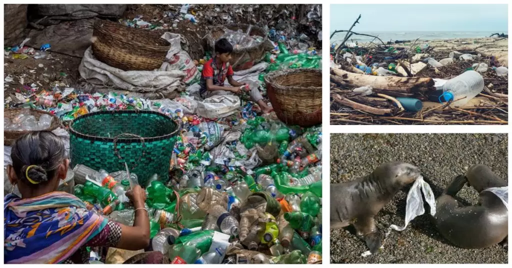 Cifras que reflejan la contaminación ambiental por plástico