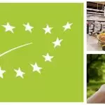 Sello de certificado ecológico ¿Qué es y cómo se usa?