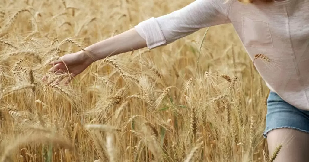 Beneficios de consumir salvado de trigo