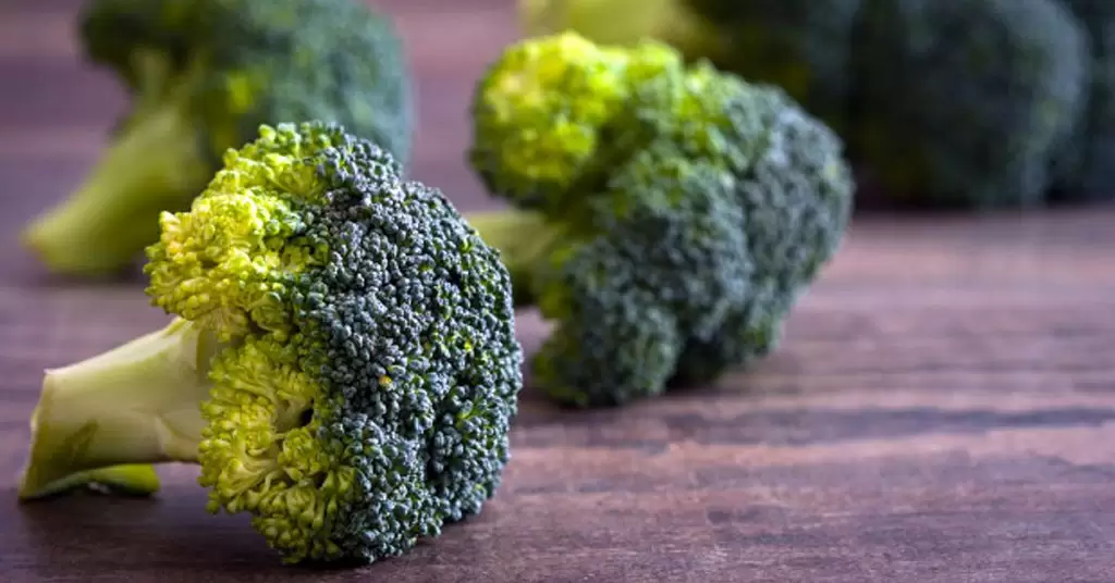 ¿Cómo conservar la frescura del brócoli?