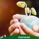 Decálogo del medio ambiente: Que desaparezca tu huella
