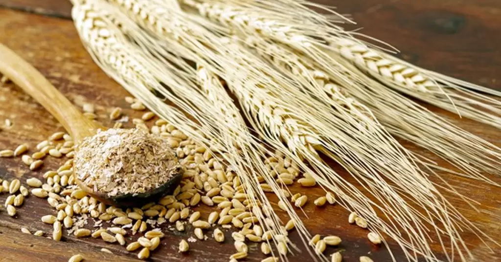 Formas de consumir el salvado de trigo