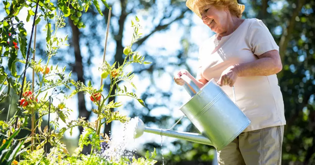 No solo debes asegurar el riego de las plantas en vacaciones