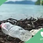 Materiali sostenibili contro la plastica