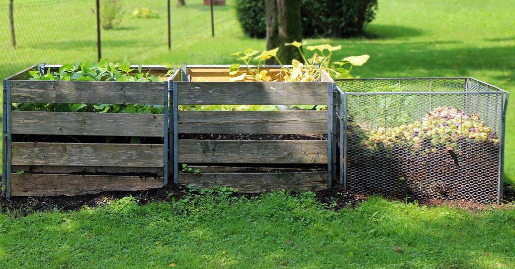cómo-hacer-compost-casero-cuerpo