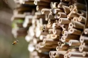 How to make a bee hotel