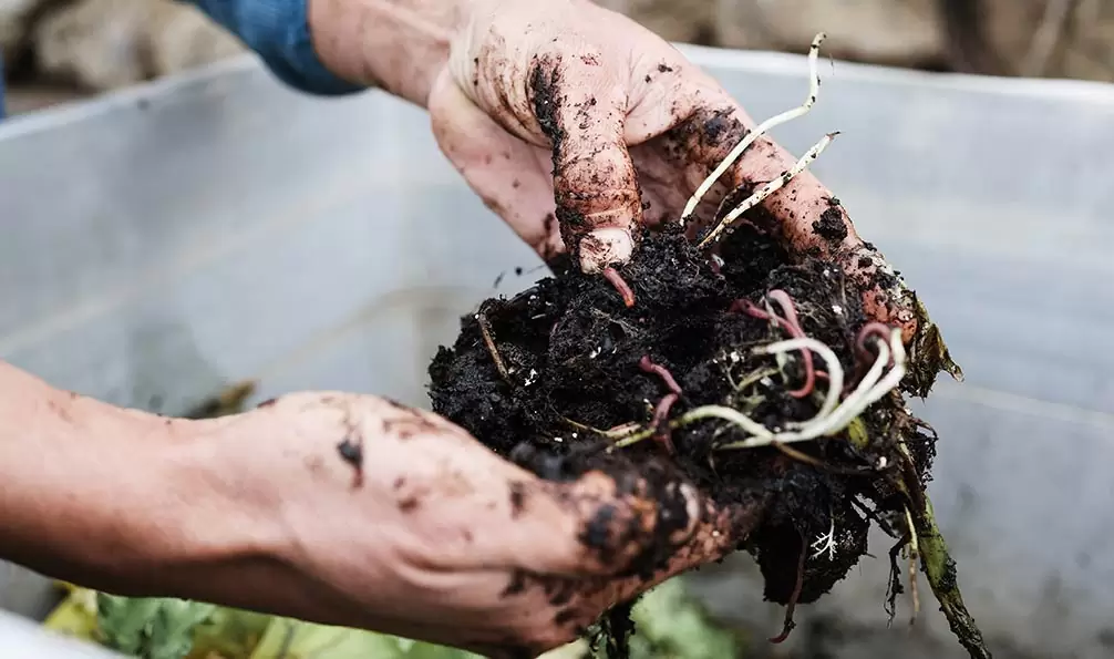 Thuis composteren in een restaurant om uw eigen compost te maken