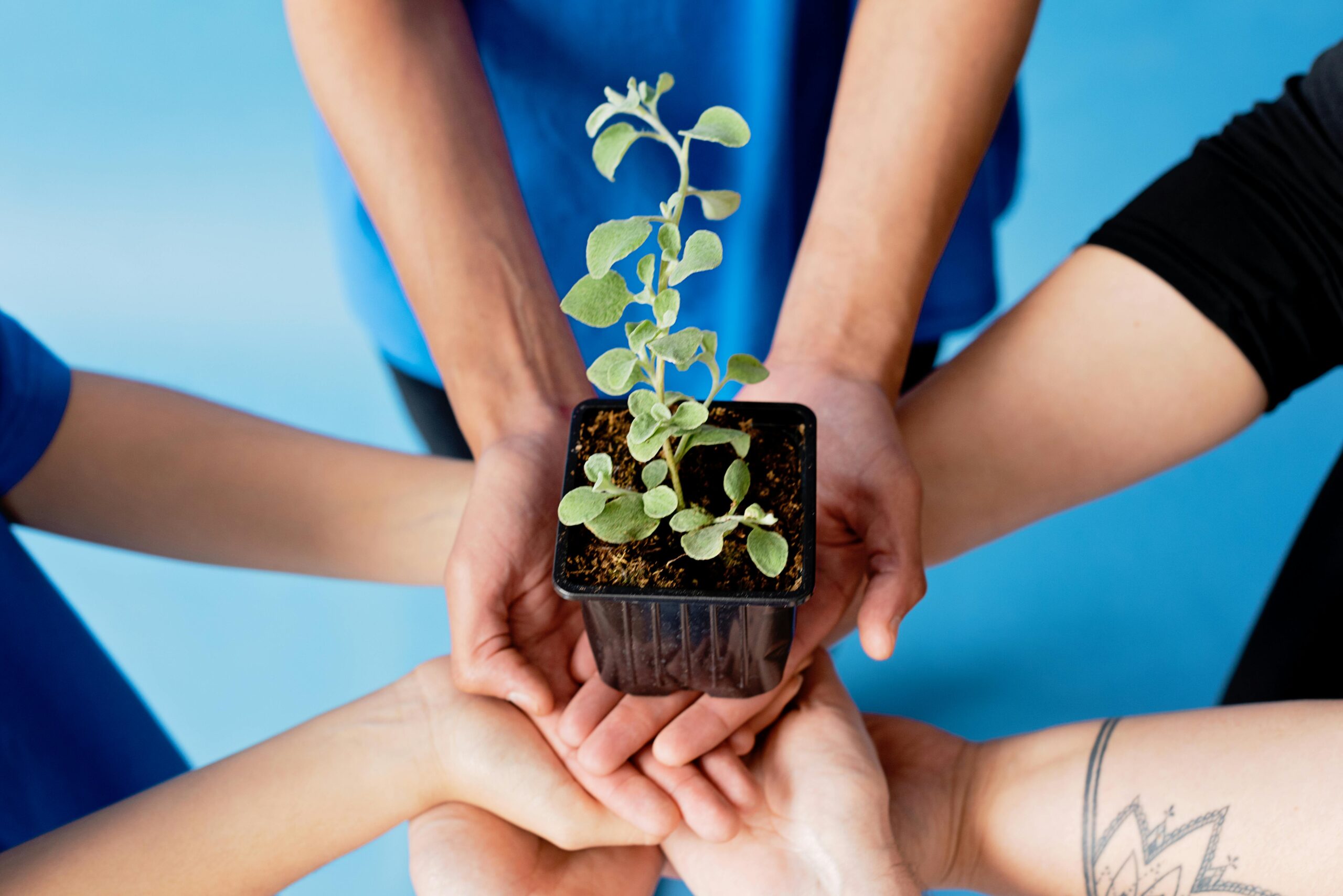 educacion-ambiental