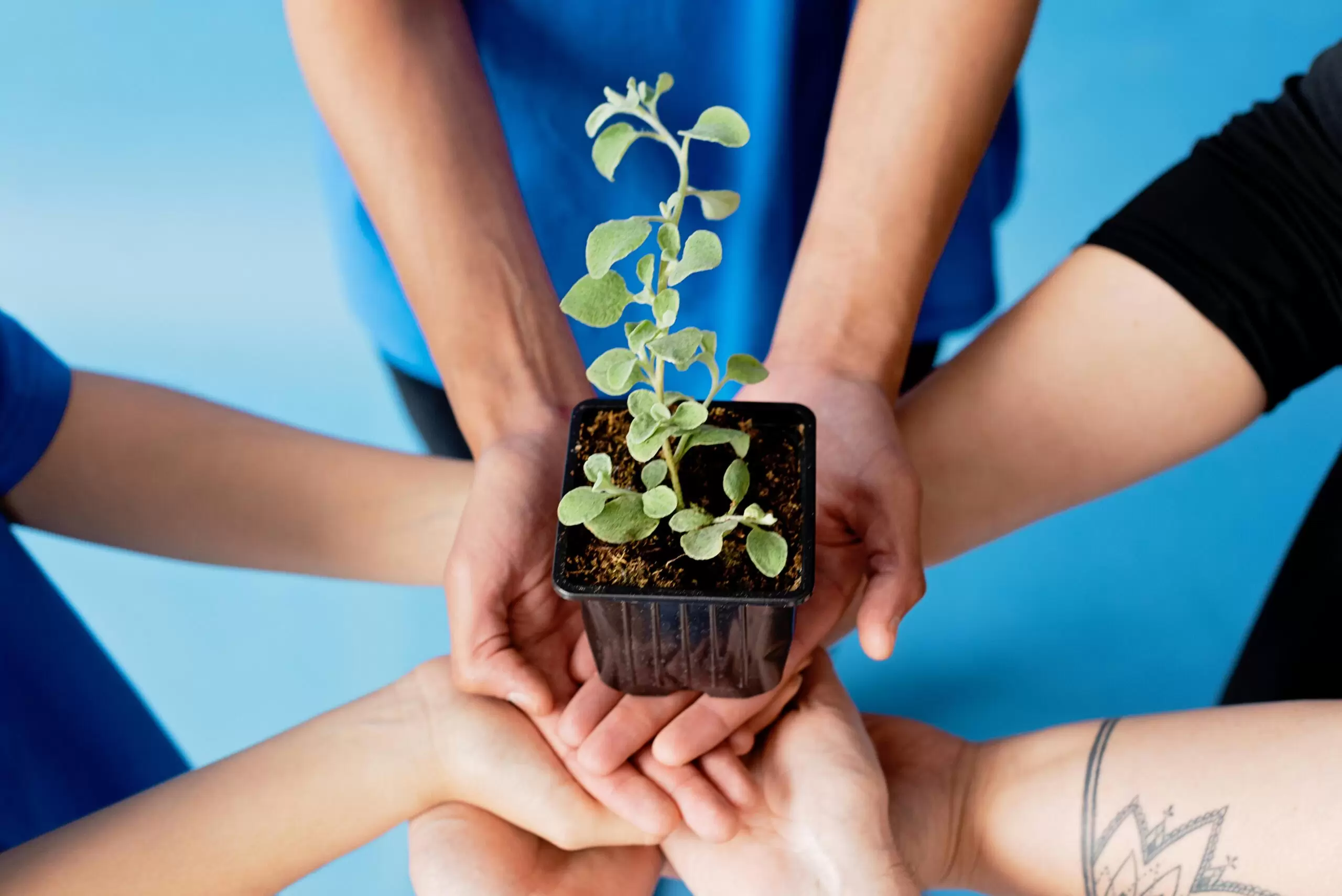 Educación ambiental: qué es y cuáles son sus objetivos