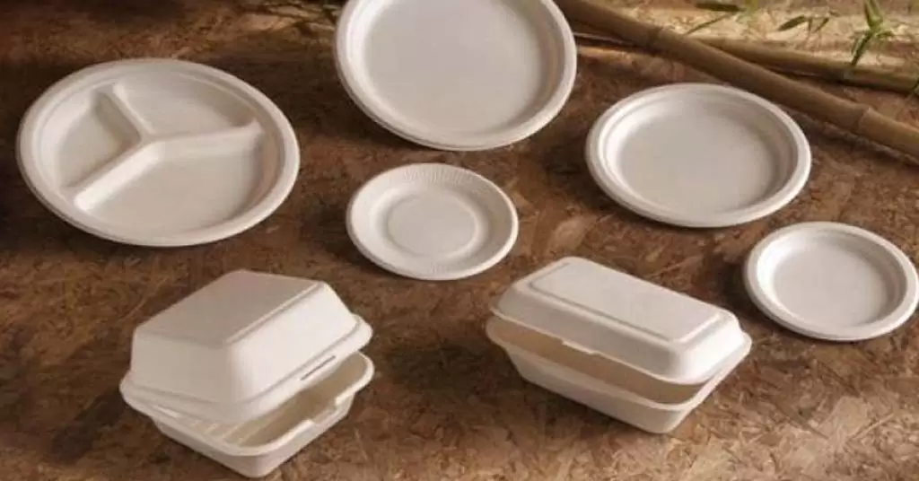 Packaging made from sugar cane: plates and containers