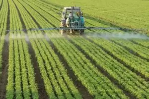Cómo eliminar los pesticidas de los alimentos