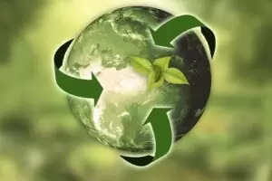 The 5 R’s of sustainability