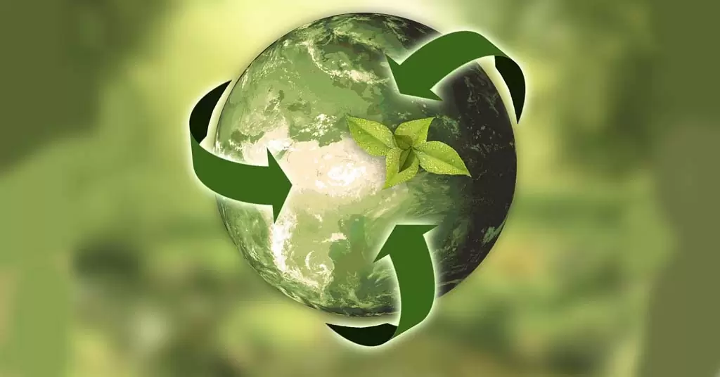 Las 5 R de la sostenibilidad