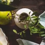menú ecológico