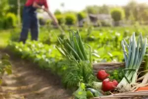 What is organic farming for?