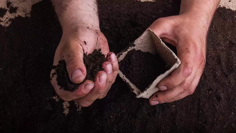 How to make homemade compost in a restaurant