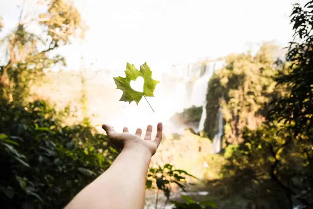 El ciclo de vida de un vaso de plástico – Impacto ambiental de principio a fin