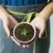 Alternativas de materiales sostenibles al plástico